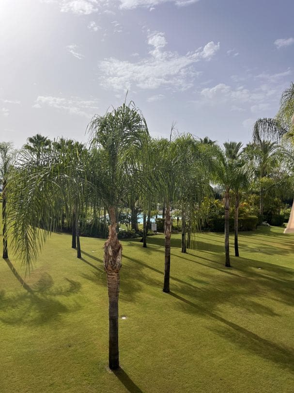 Piso de 2 habitaciones en New Golden Mile en venta con garaje - 340.000 € (Ref: 9611942)