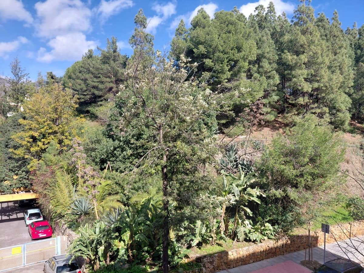 1 chambre Appartement à vendre à Marbella - 365 000 € (Ref: 9617146)