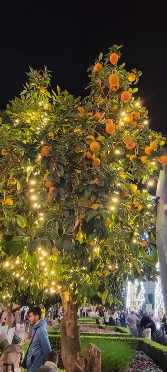 3 soverom Leilighet til salgs i Marbella med svømmebasseng garasje - € 1 100 000 (Ref: 9664361)