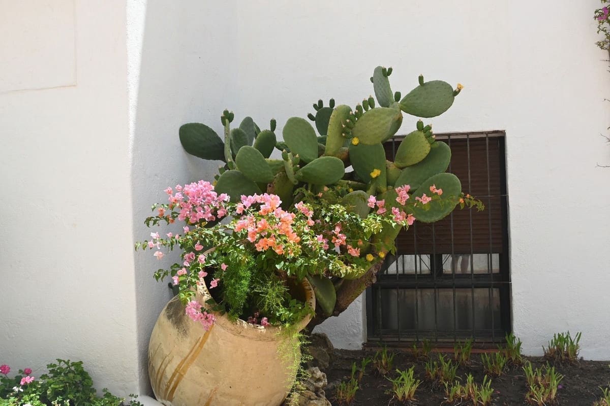 2 chambre Appartement à vendre à Marbella avec piscine garage - 440 000 € (Ref: 9759468)