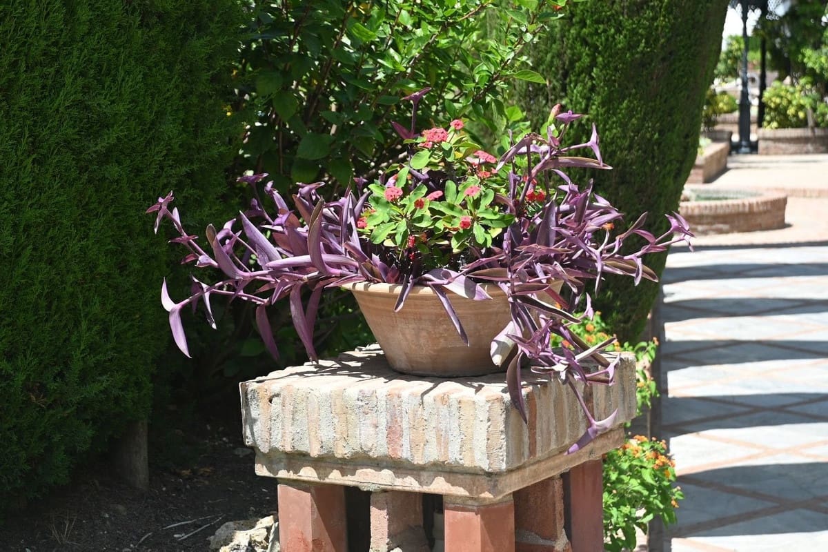 2 chambre Appartement à vendre à Marbella avec piscine garage - 440 000 € (Ref: 9759468)