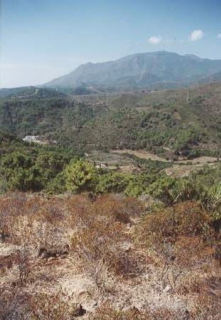 Byggetomt til salgs i Estepona - € 4 500 000 (Ref: 9759470)