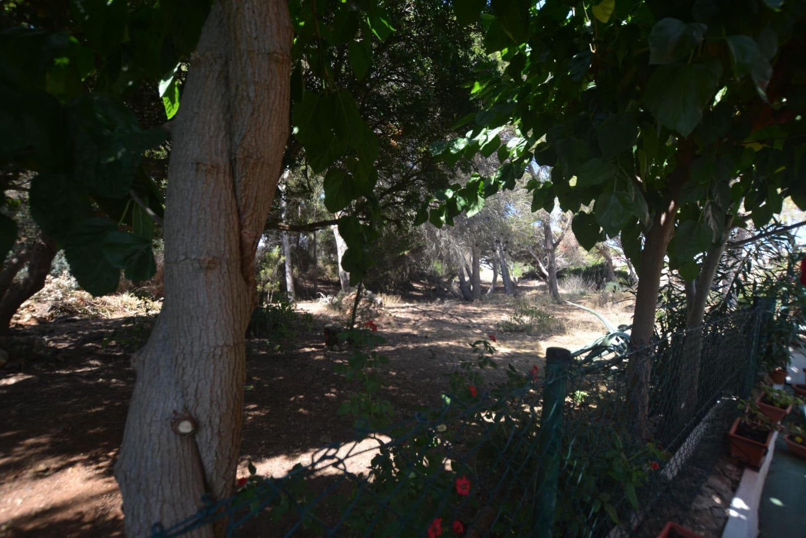 3 bedroom Villa for sale in Punta Grossa - € 499,000 (Ref: 10017597)