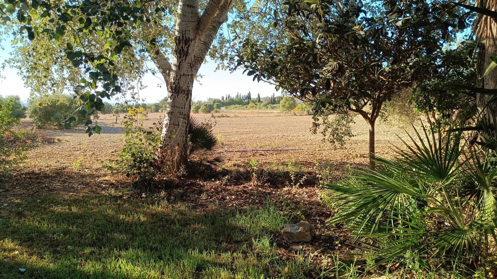 4 sovrum Finca/Hus på landet till salu i Manacor med pool garage - 1 490 000 € (Ref: 10043129)