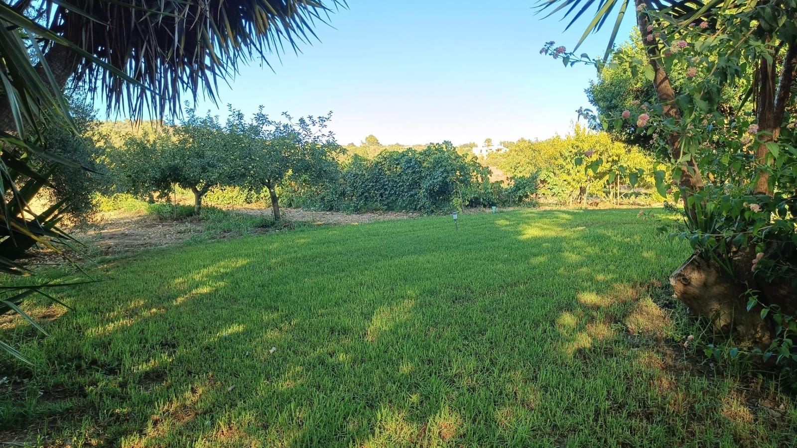 4 sovrum Finca/Hus på landet till salu i Manacor med pool garage - 1 490 000 € (Ref: 10043129)