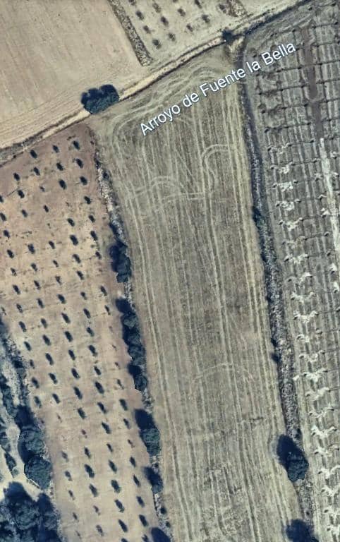 Undeveloped Land for sale in Guadahortuna - € 65,460 (Ref: 10102746)