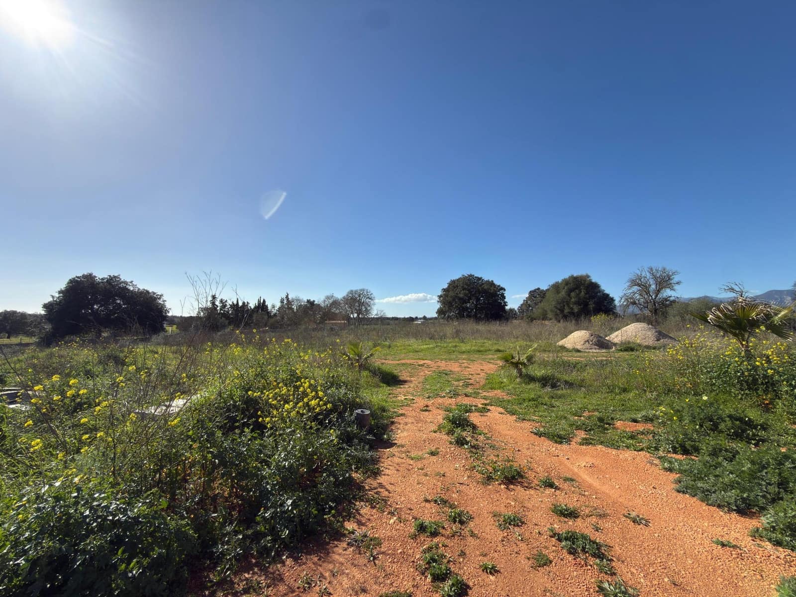 5 slaapkamer Finca/Landhuis te koop in Inca met zwembad garage - € 1.790.000 (Ref: 10165139)