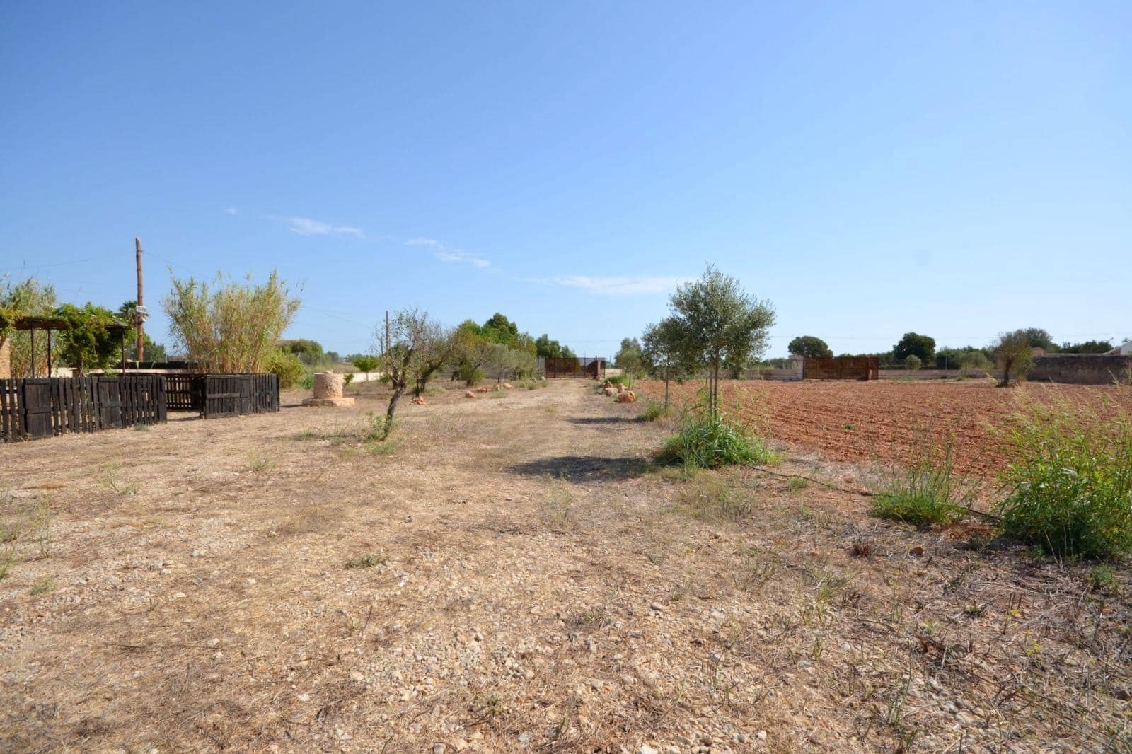 Grunde uden byggetilladelser til salg i Biniali - € 320.000 (Ref: 10185057)