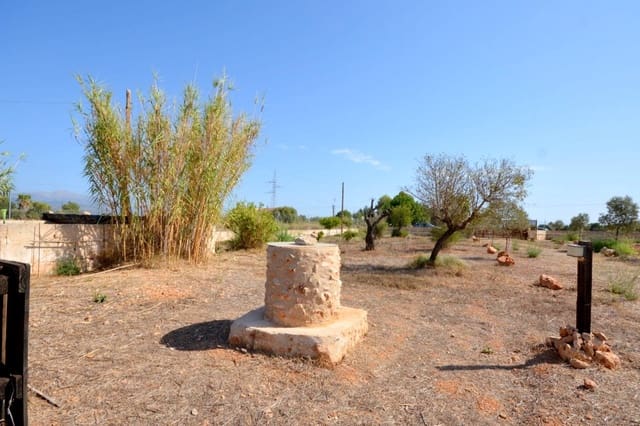 Terreno Non Edificato in vendita in Biniali, Sencelles - 320.000 € (Rif: 10185057)