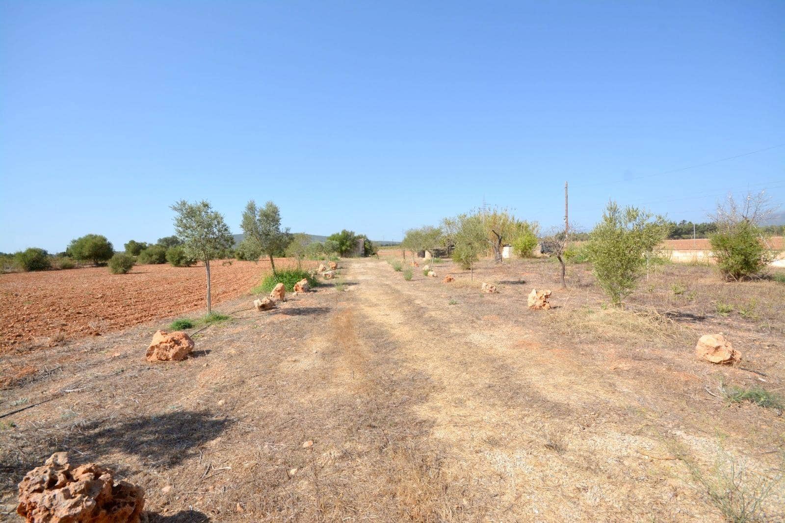 Grunde uden byggetilladelser til salg i Biniali - € 320.000 (Ref: 10185057)
