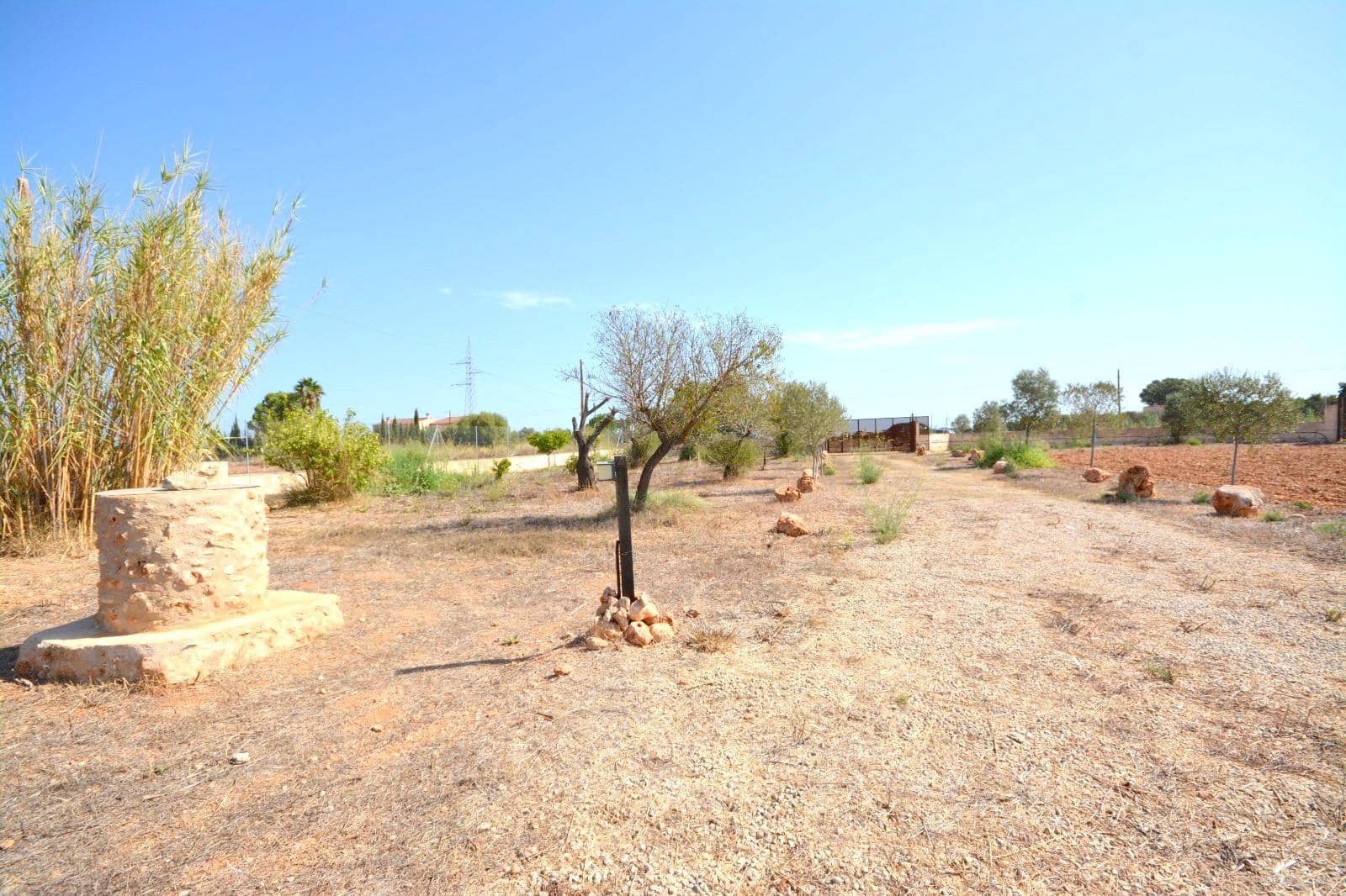Grunde uden byggetilladelser til salg i Biniali - € 320.000 (Ref: 10185057)