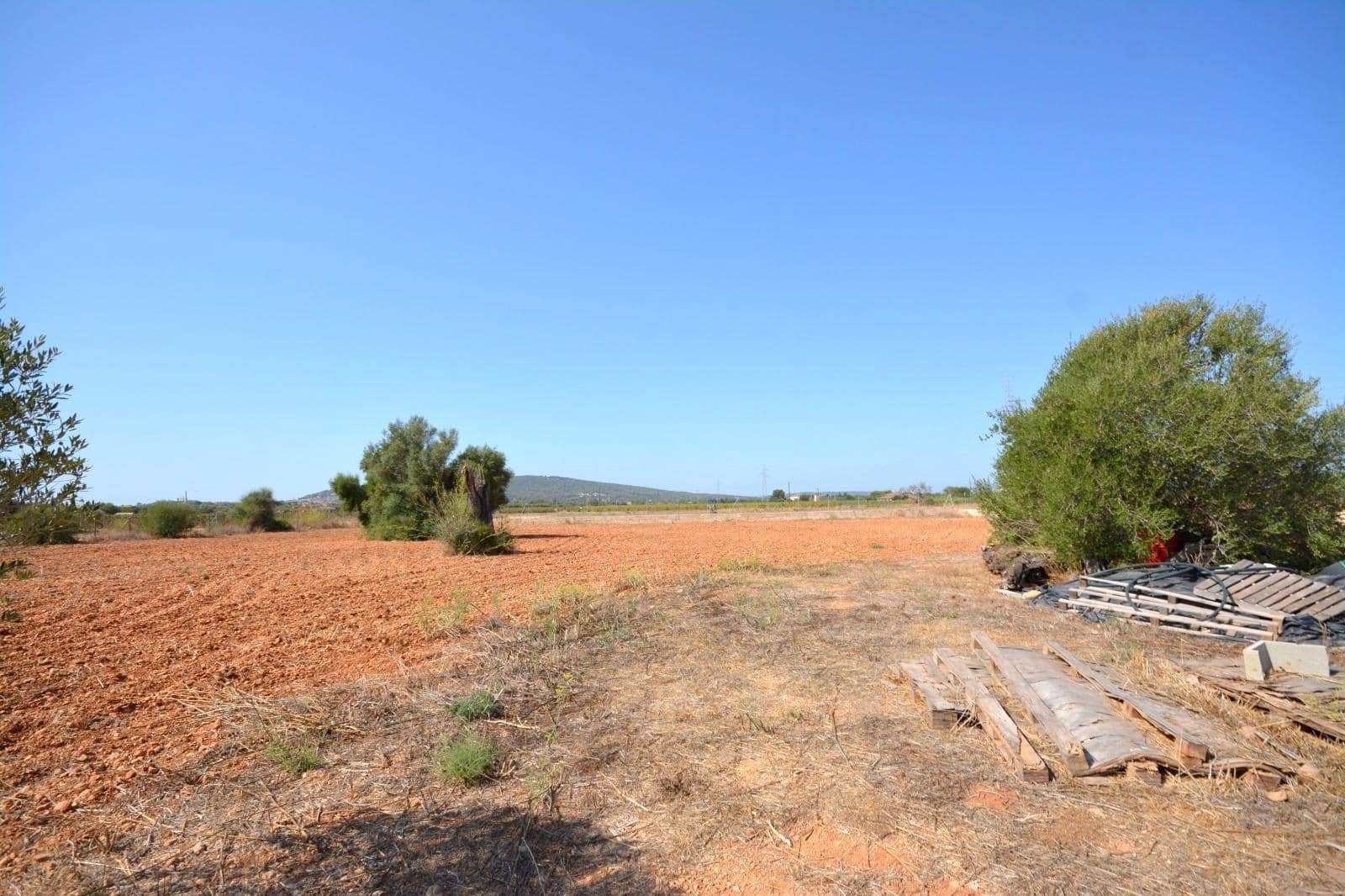 Grunde uden byggetilladelser til salg i Biniali - € 320.000 (Ref: 10185057)