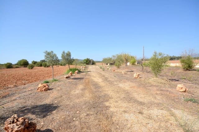 Terreno Non Edificato in vendita in Biniali, Sencelles - 320.000 € (Rif: 10185057)