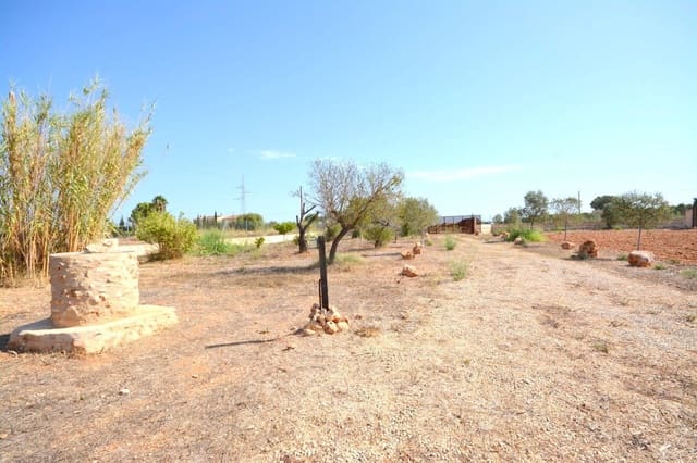 Terreno Non Edificato in vendita in Biniali, Sencelles - 320.000 € (Rif: 10185057)
