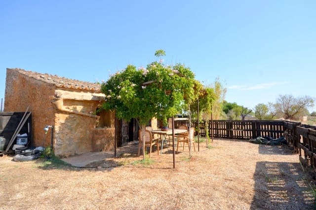 Terreno Non Edificato in vendita in Biniali, Sencelles - 320.000 € (Rif: 10185057)
