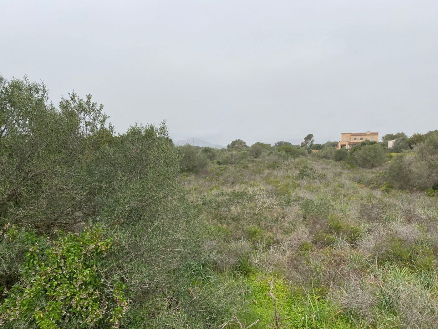 Solar/Parcela en Portocolom en venta - 350.000 € (Ref: 6730730)