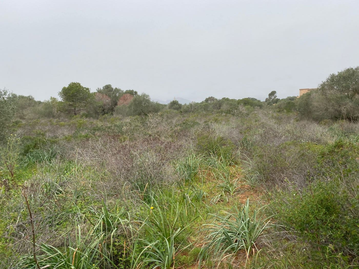 Solar/Parcela en Portocolom en venta - 350.000 € (Ref: 6730730)