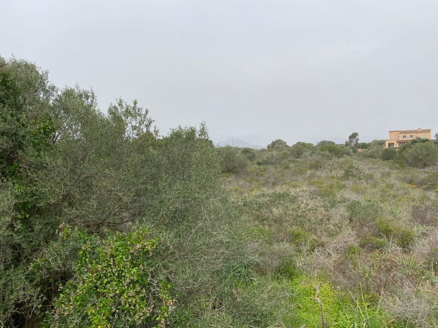 Solar/Parcela en Portocolom en venta - 350.000 € (Ref: 6730730)