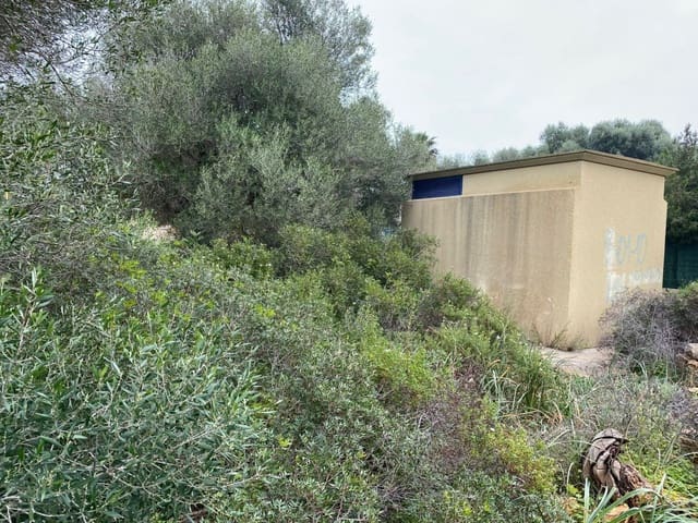 Bouwgrond te koop in Portocolom, Felanitx - € 350.000 (Ref: 6730730)