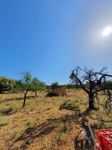 1 chambre Finca/Maison de Campagne à vendre à Santa Margalida - 365 000 € (Ref: 6858000)