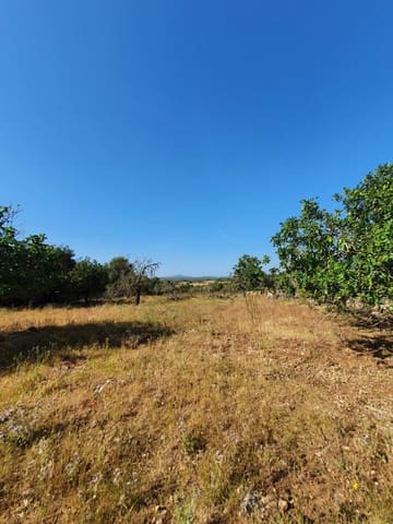 1 chambre Finca/Maison de Campagne à vendre à Santa Margalida - 365 000 € (Ref: 6858000)