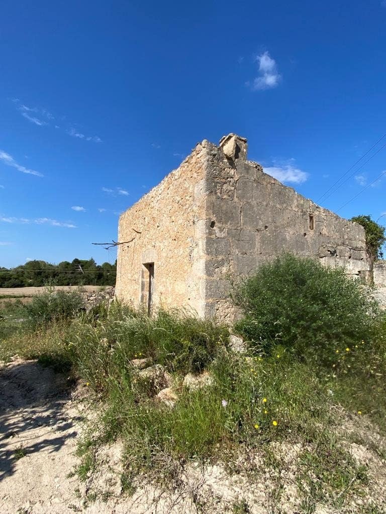 Undeveloped Land for sale in Manacor - € 159,500 (Ref: 6874827)