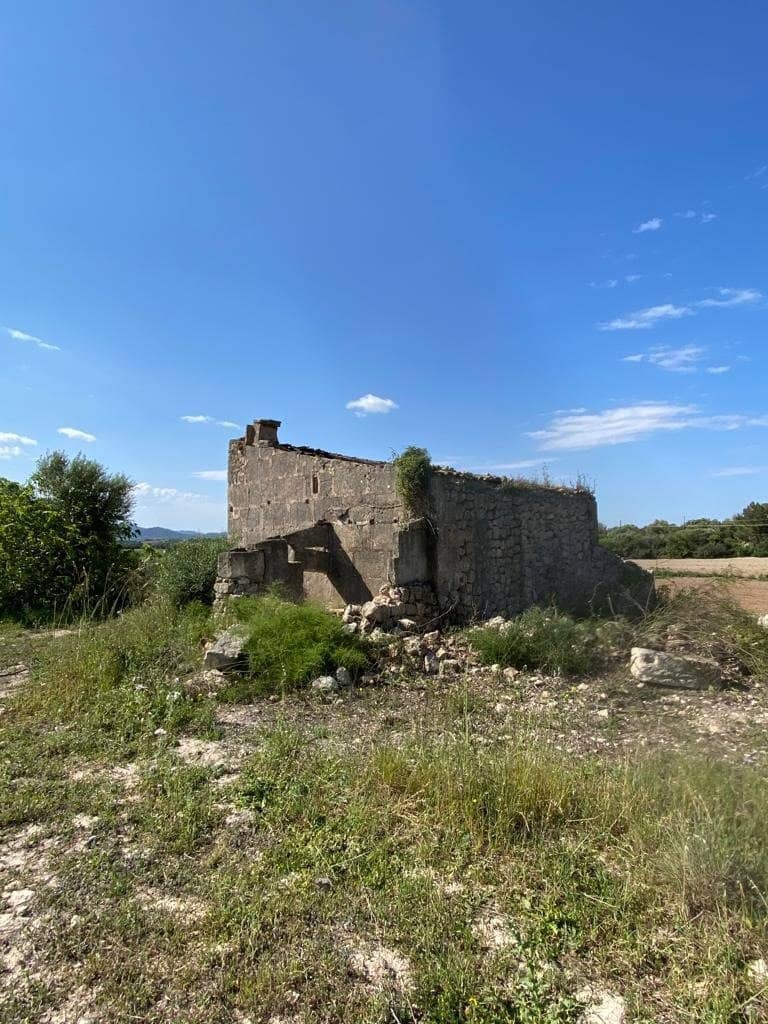 Undeveloped Land for sale in Manacor - € 159,500 (Ref: 6874827)