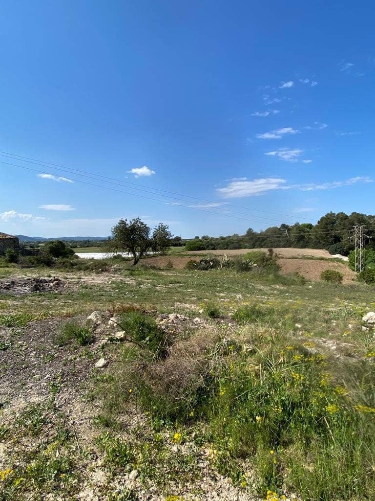 Undeveloped Land for sale in Manacor - € 159,500 (Ref: 6874827)
