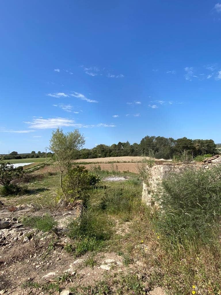 Undeveloped Land for sale in Manacor - € 159,500 (Ref: 6874827)