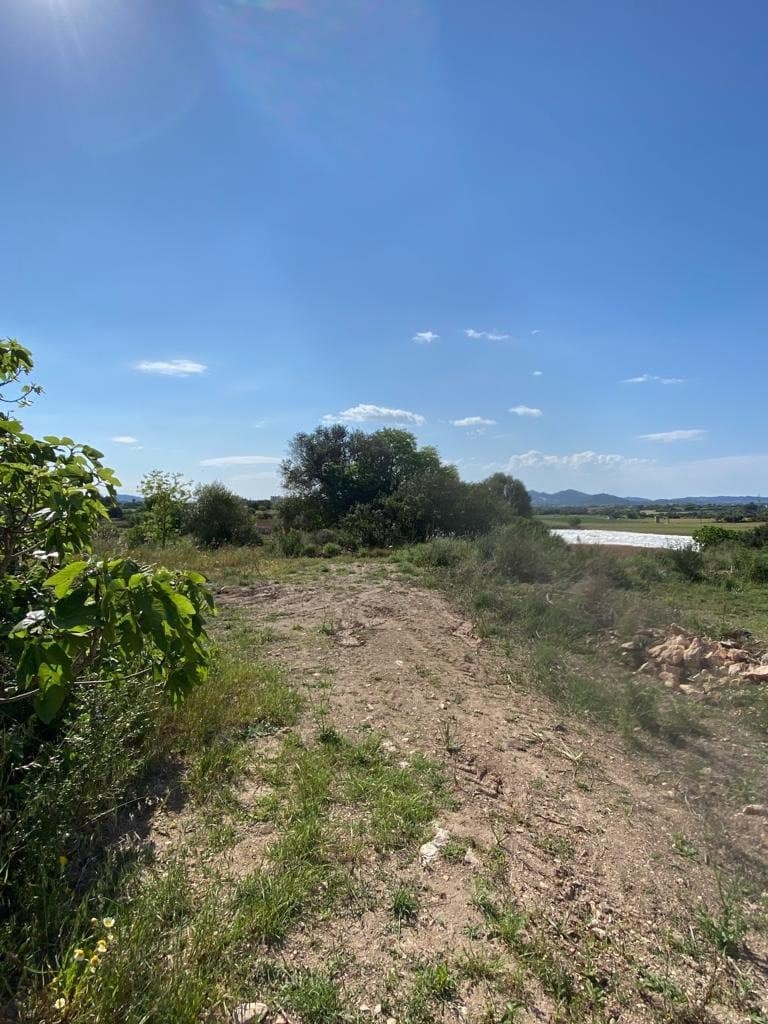 Undeveloped Land for sale in Manacor - € 159,500 (Ref: 6874827)