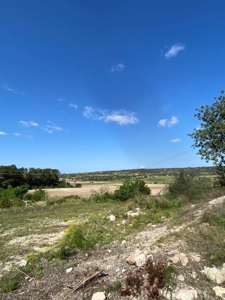 Undeveloped Land for sale in Manacor - € 159,500 (Ref: 6874827)