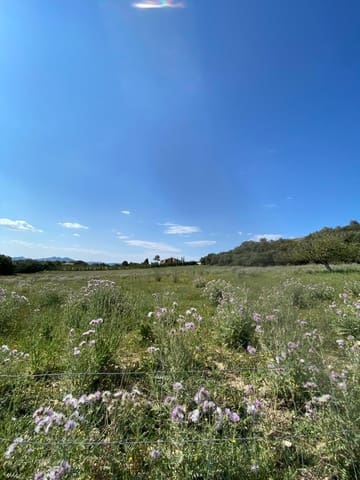 Byggetomt til salgs i Manacor - € 240 000 (Ref: 6874828)