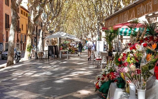 1 slaapkamer Commercieel te koop in Sant Jaume, Palma de Mallorca - € 195.000 (Ref: 7288272)