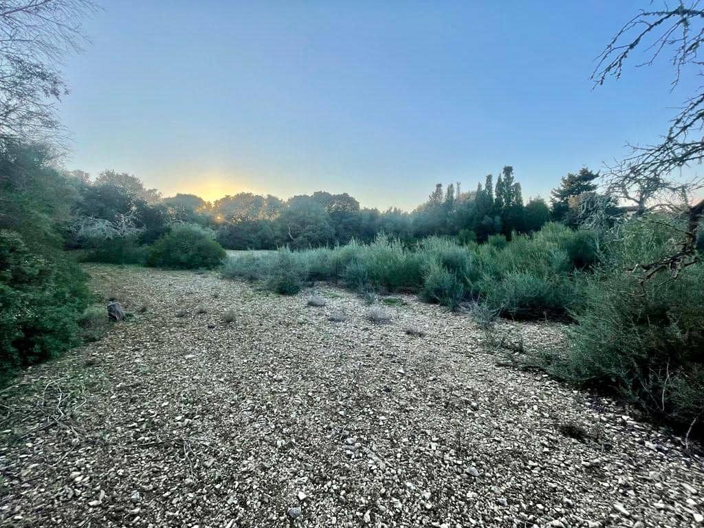 Rakentamaton maa myytävänä paikassa Manacor - 32 000 € (Ref: 7451723)