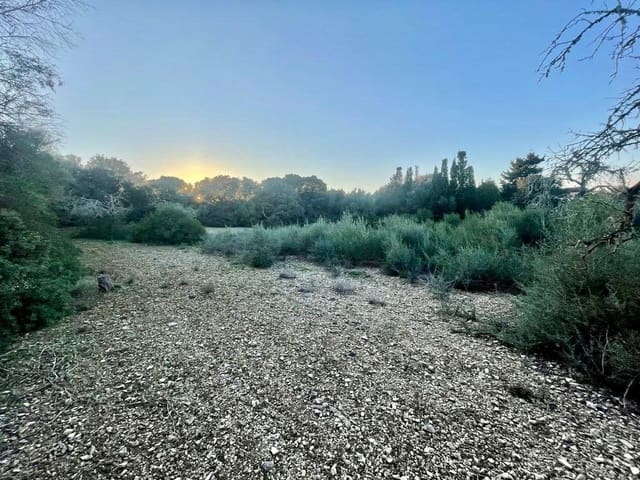 Grunde uden byggetilladelser til salg i Manacor - € 32.000 (Ref: 7451723)