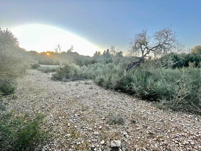 Grunde uden byggetilladelser til salg i Manacor - € 32.000 (Ref: 7451723)