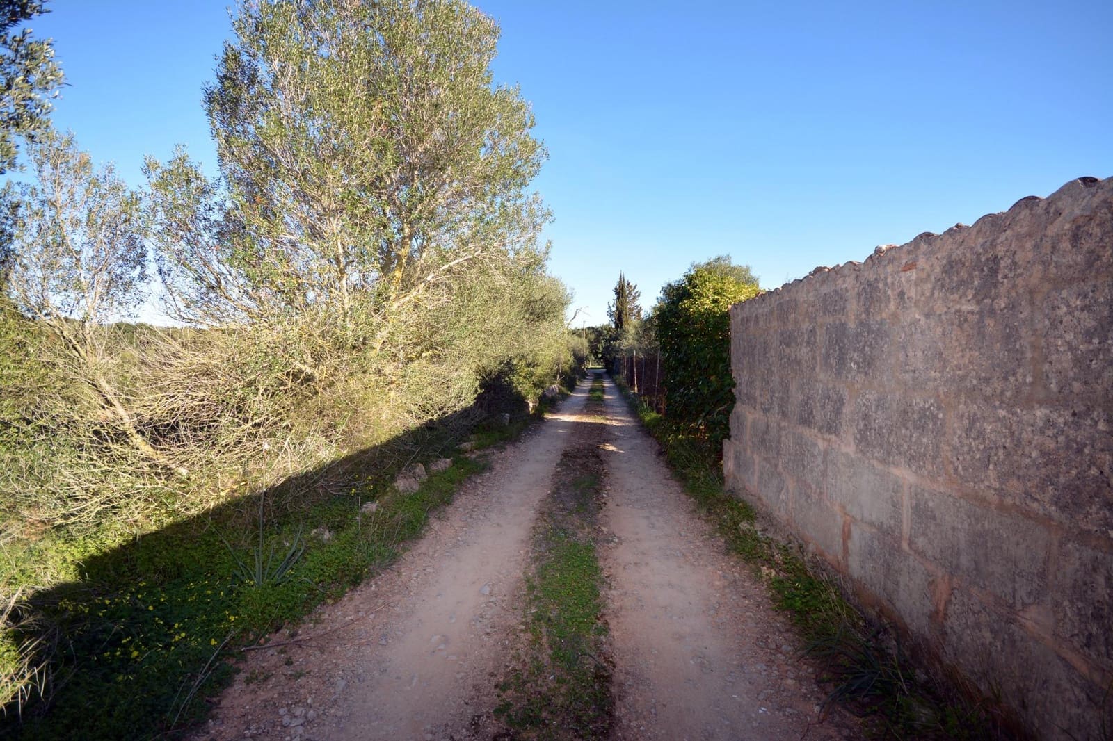 4 sypialnia Finka/Dom wiejski na sprzedaż w Llucmajor z basenem - 1 300 000 € (Ref: 7468011)