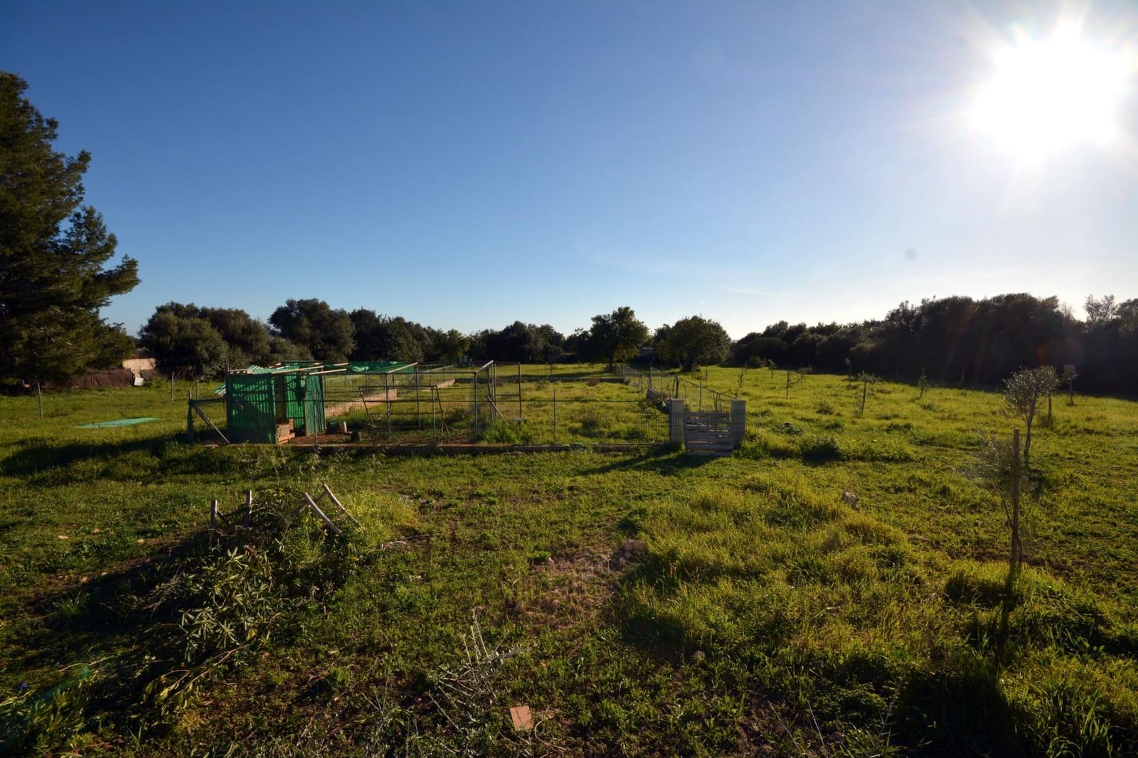 4 sypialnia Finka/Dom wiejski na sprzedaż w Llucmajor z basenem - 1 300 000 € (Ref: 7468011)