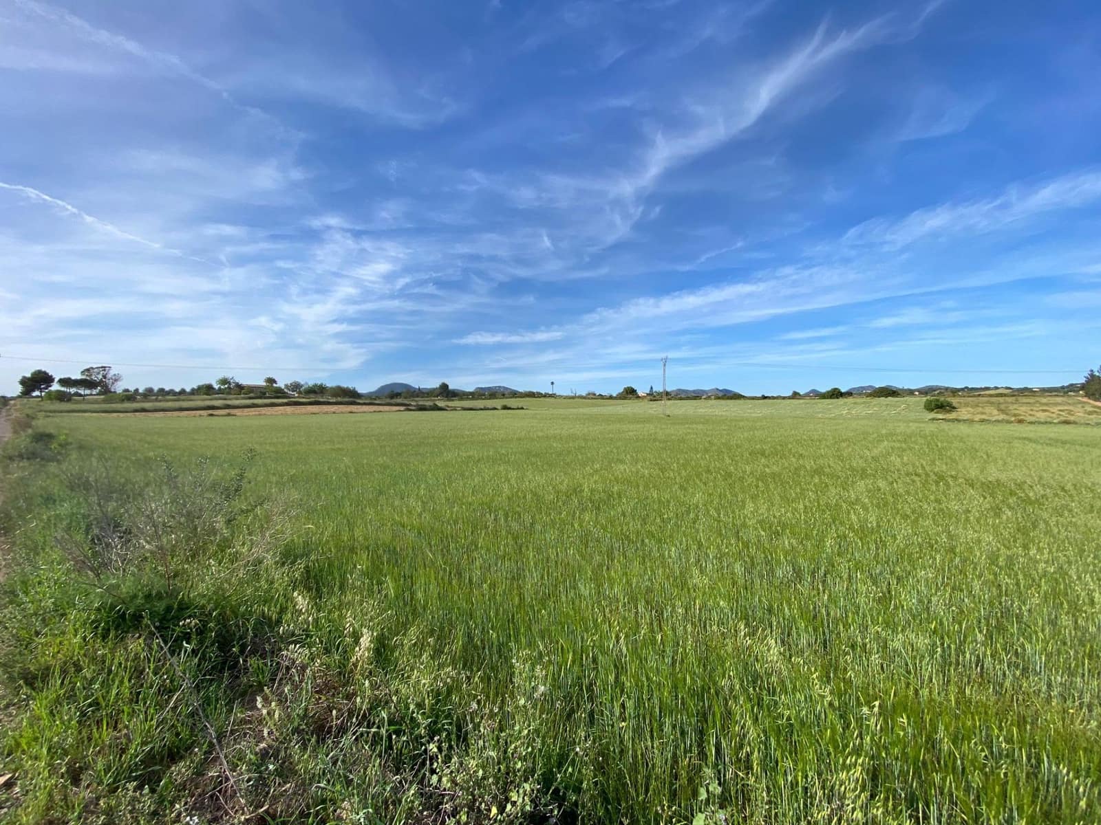 Byggetomt til salgs i Manacor - € 200 000 (Ref: 7545166)