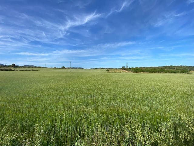 Byggegrund til salg i Manacor - € 200.000 (Ref: 7545166)