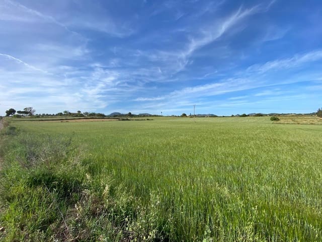 Byggegrund til salg i Manacor - € 200.000 (Ref: 7545166)