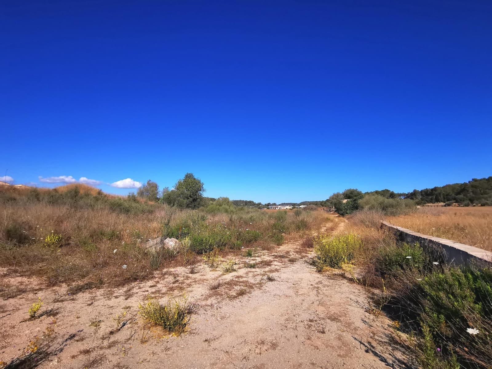 2 soveværelse Finca/Landehus til salg i Sant Joan med swimmingpool - € 478.000 (Ref: 8395246)