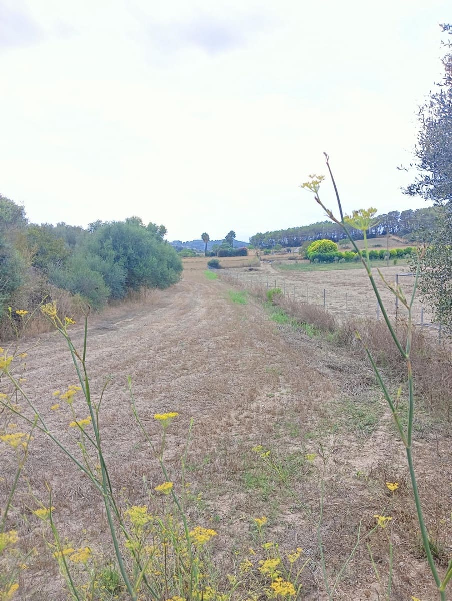 1 chambre Finca/Maison de Campagne à vendre à Sant Joan - 74 500 € (Ref: 8395247)
