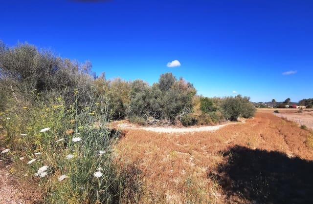 1 chambre Finca/Maison de Campagne à vendre à Sant Joan - 74 500 € (Ref: 8395247)