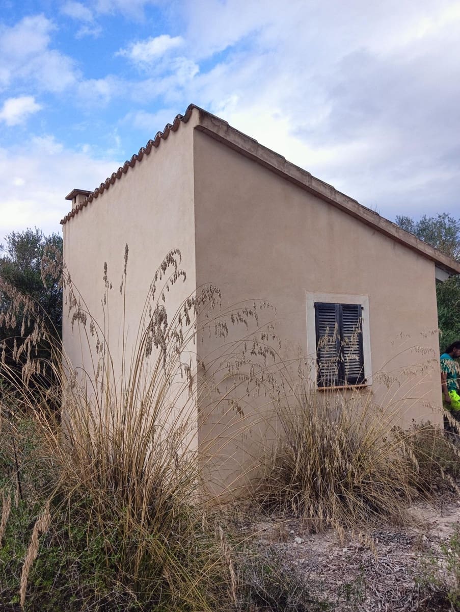 1 chambre Finca/Maison de Campagne à vendre à Sant Joan - 74 500 € (Ref: 8395247)