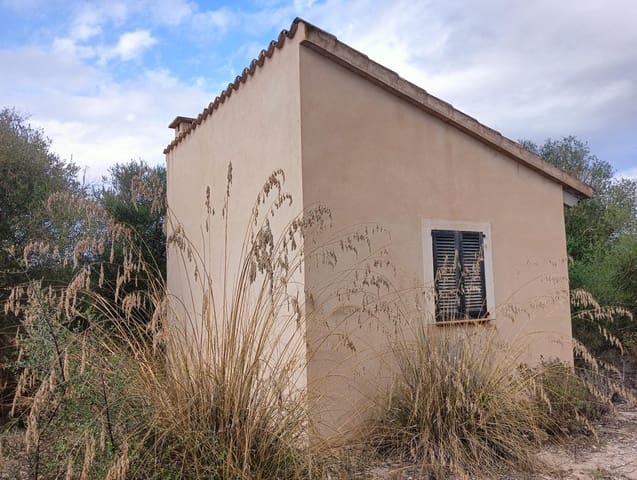 1 chambre Finca/Maison de Campagne à vendre à Sant Joan - 74 500 € (Ref: 8395247)