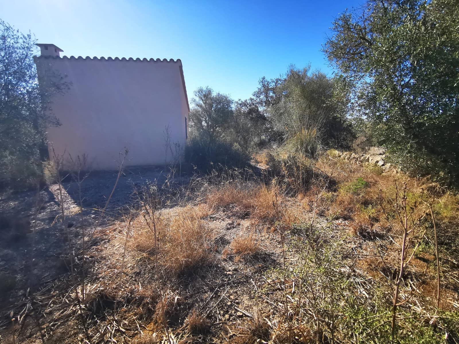 1 chambre Finca/Maison de Campagne à vendre à Sant Joan - 74 500 € (Ref: 8395247)