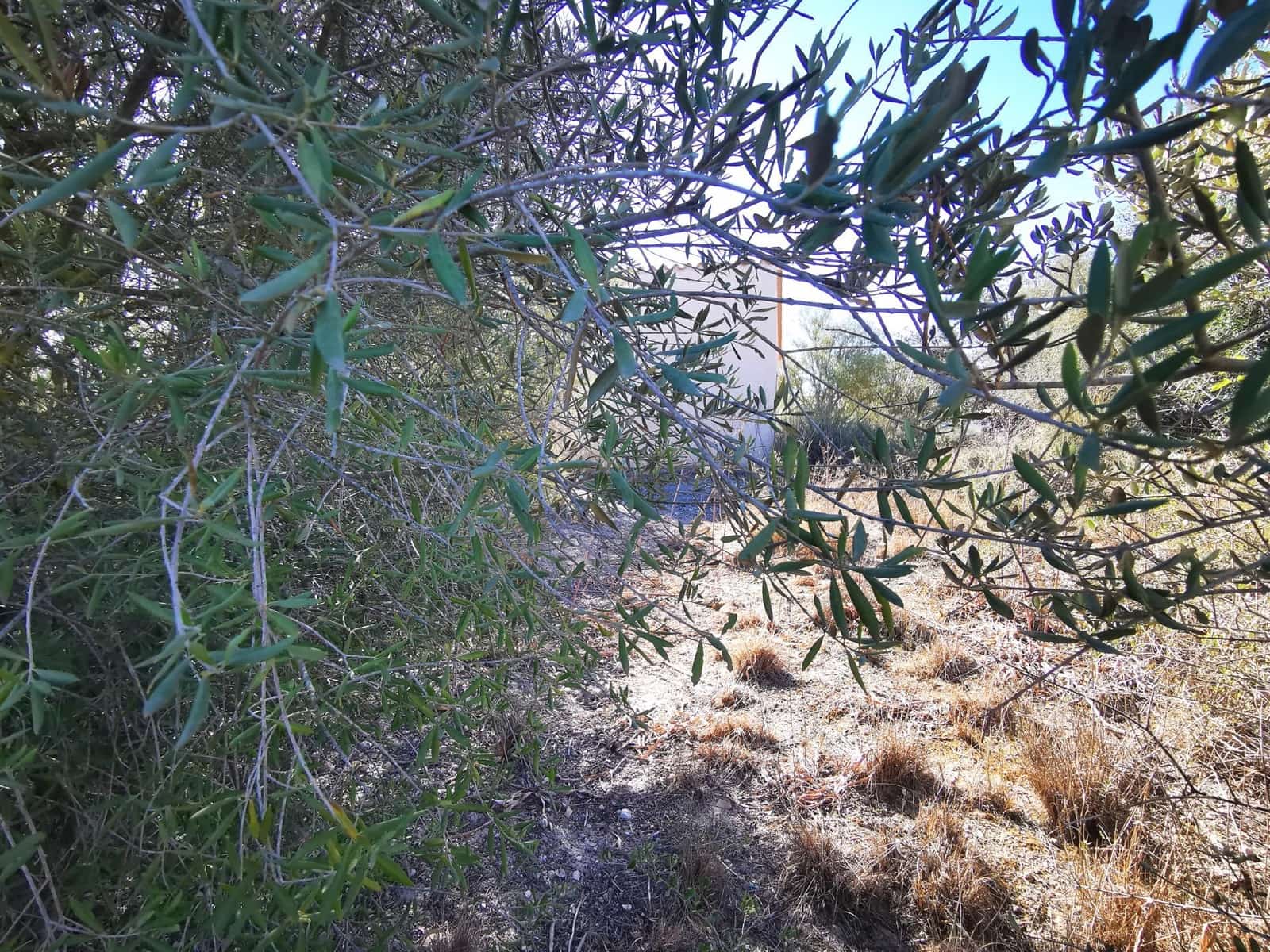 1 chambre Finca/Maison de Campagne à vendre à Sant Joan - 74 500 € (Ref: 8395247)