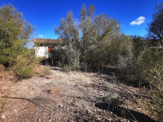 1 chambre Finca/Maison de Campagne à vendre à Sant Joan - 74 500 € (Ref: 8395247)