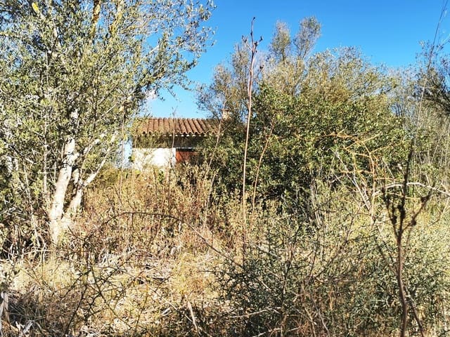 1 chambre Finca/Maison de Campagne à vendre à Sant Joan - 74 500 € (Ref: 8395247)
